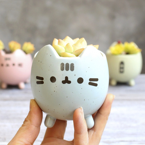 Succulent Plant Pot with Hole Cute Animal Flower Planter Flowerpot Lovely Little Cat Home Garden Decor Bonsai Pots Birthday Gift ► Photo 1/6