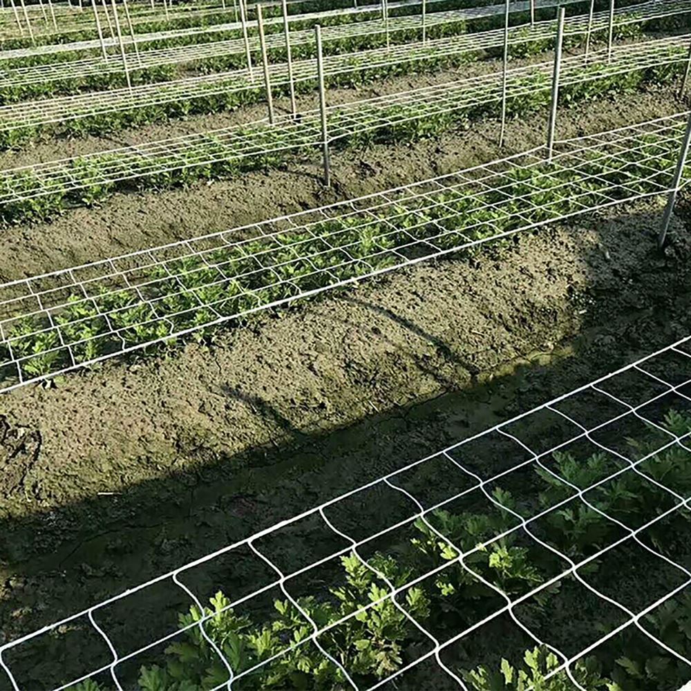 Cucumber Support Garden Weaving Vine Mesh Plant Climbing Net 