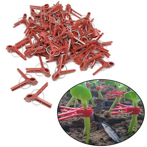 50PCS Plant Grafting Clip Plastic Gardening Tool For Cucumber Eggplant Watermelon, Round Mouth Flat Mouth Anti-fall Clamp ► Photo 1/6
