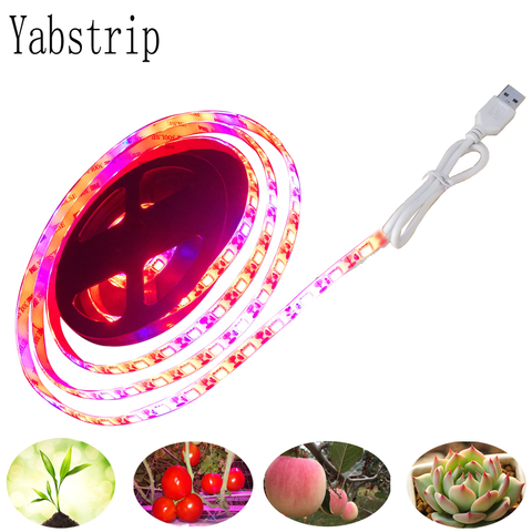 LED Grow Light Full Spectrum USB LED Strip red blue 5050 60LED Phyto Lamps For indoor flower seed Hydroponic Plant Growing lamp ► Photo 1/6