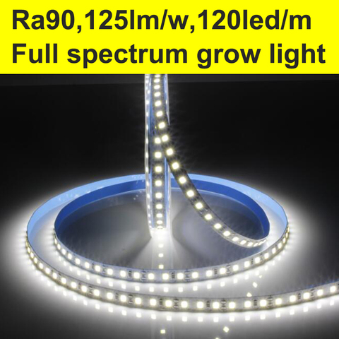 Full spectrum High CRI+90 2835 12V 24V 2835 LED Light Strips For Home 8mm Width 120LED/m 5m/lot ► Photo 1/6
