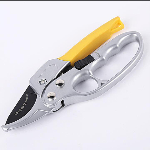 Handy Pruning Scissor Tree Fruit Branch Gardening Tool High Carbon Steel Hand Guard Labor-saving Beak SK-5 ► Photo 1/5