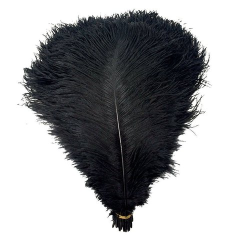 Wholesale Hard Rod 10Pcs/Lot Natural Black Ostrich Feathers for Crafts 15-75CM Carnival Costumes Wedding Accessories Decoration ► Photo 1/6