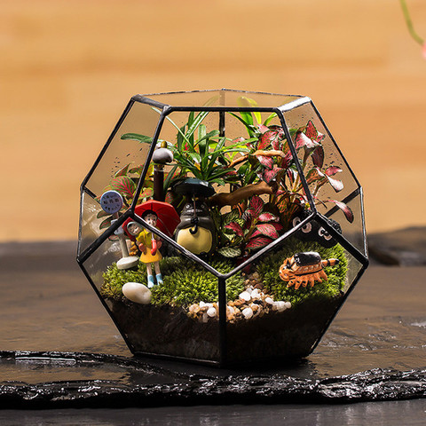 Office Tabletop Display Planter Succulents Plant Container Flower Pot Fairy Garden Polyhedron Glass Geometric Terrarium Bonsai ► Photo 1/6