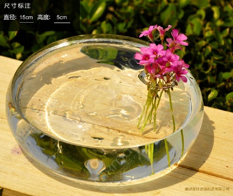 O.RoseLif Transparent  flatworm Vase Decorativos  Wedding Decoration Round Air Plant  Terrarium Handblown decoration glass vase ► Photo 1/5