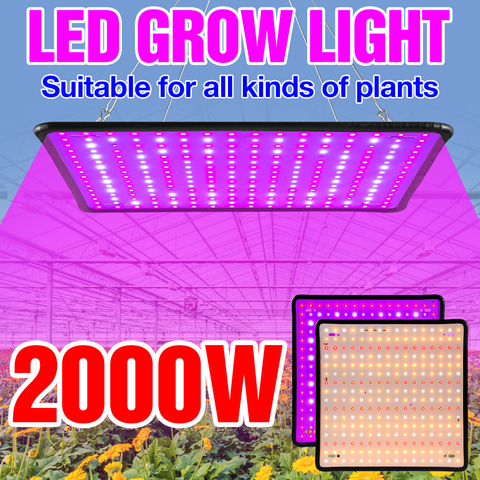Growth Light LED Full Spectrum Phyto Veg Lamp 220V Plant Grow Panel Lamp LED Hydroponics Flower Growing Tent Box 2000W Fitolampy ► Photo 1/6