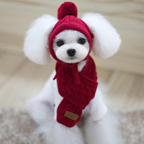 Hat For Dogs Winter Warm Stripes Knitted Hat+Scarf Collar Puppy Teddy Costume Christmas Clothes santa dog costume ► Photo 1/6