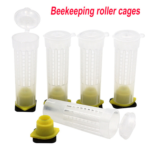 20/50/100 Pcs Beekeeping Rearing Cup Kit Queen Bee Hair Roller Cages Plastic Bee Cell Cups Beekeeper Tools Equipment Set ► Photo 1/6