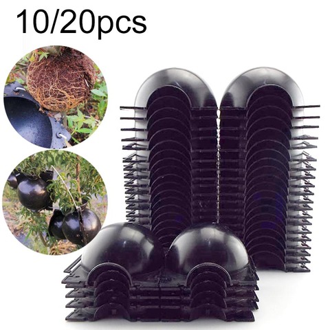 10/20pcs fruit Plant tree Rooting Ball Root box plastic case propagation Box Grafting Rooter Growing High-pressure breeding ball ► Photo 1/6