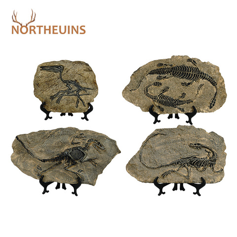 NORTHEUINS Resin Dinosaur Fossil Figurines Retro Animal Statue Miniature Interior Living Room Decor Souvenirs for Home Gifts ► Photo 1/6