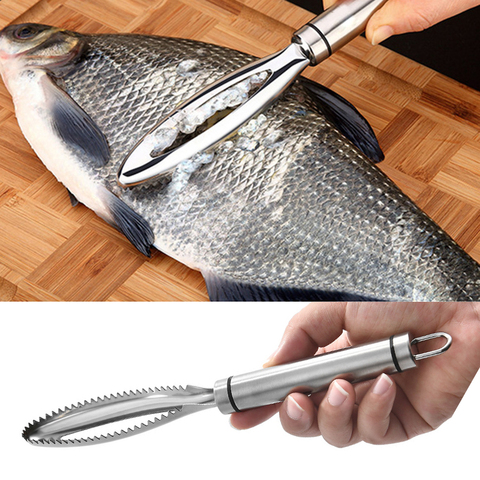 Efficient Fish Scales Scraping Stainless Scaler for Fish Cleaning Tools Fish Skin Brush Fish Tongs Tweezers Scaler Fishing Tools ► Photo 1/6