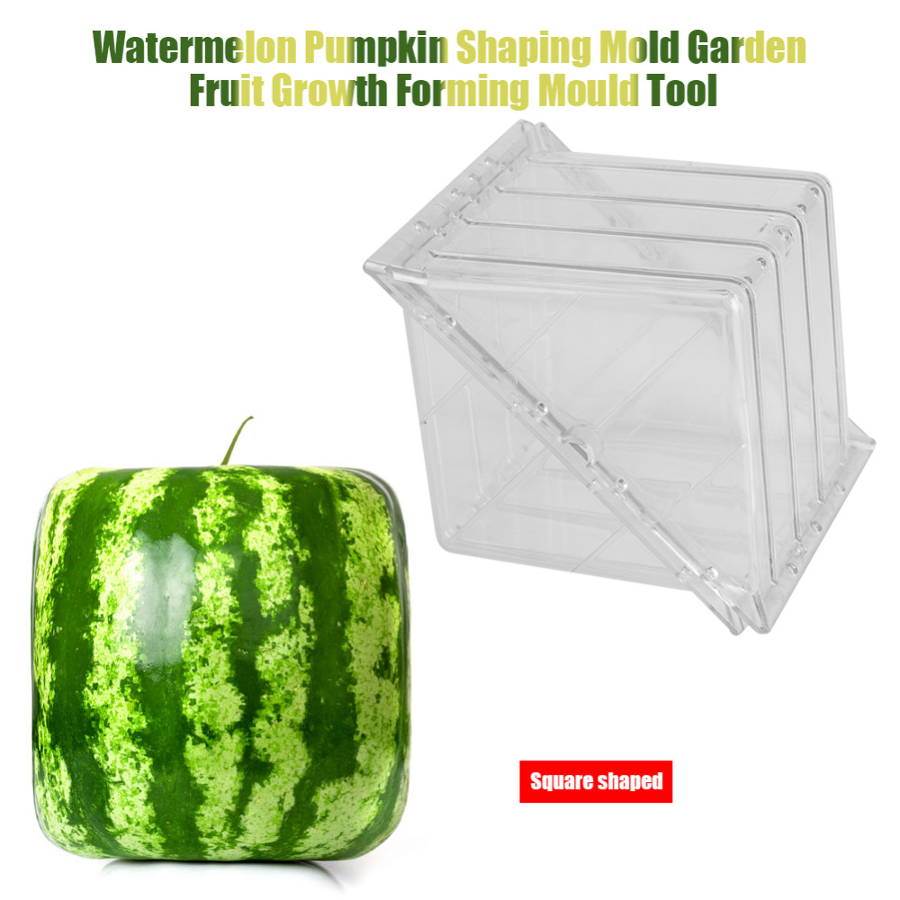Square Shaped Watermelon Mold For Growing Square Shaped Fruit 