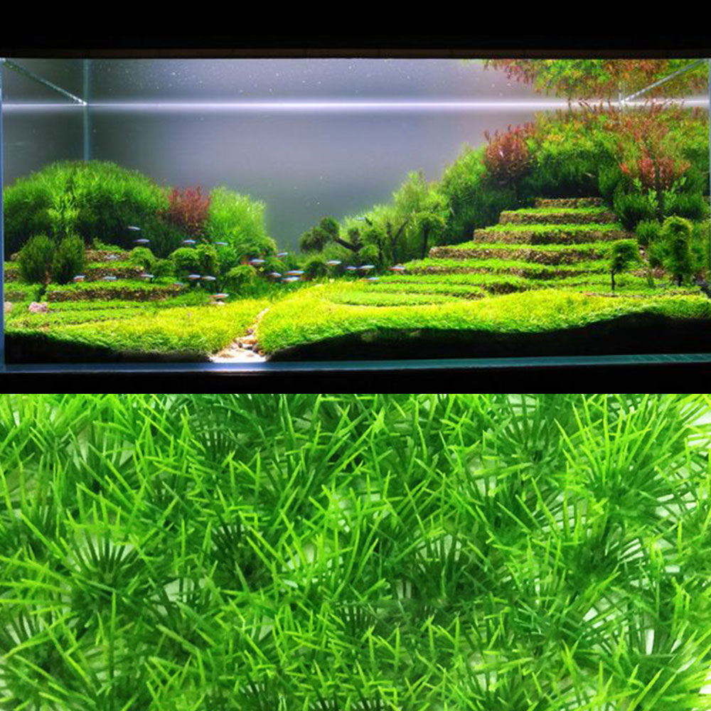 Aquatic Green Grass Decoration Easy Planting Fish Tank Aquarium Plant Seeds 