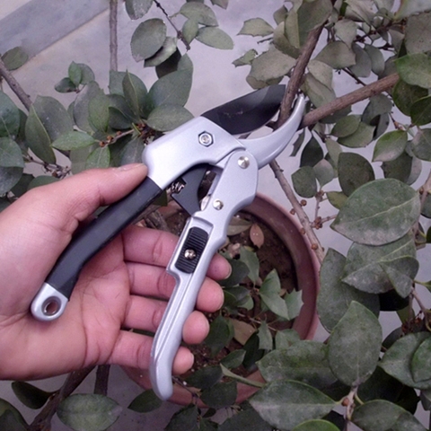 20cm Ratchet Plant trim horticulture Hand Shear Orchard pruning pruner cut secateur Shrub Garden Scissor tool anvil Branch ► Photo 1/1