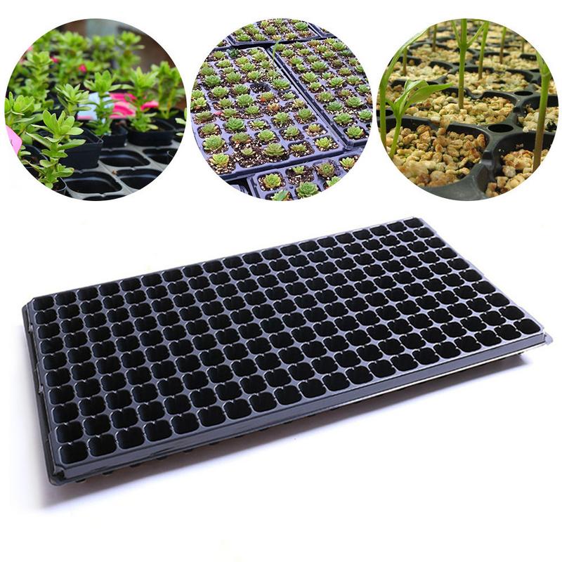 200 Cell Seedling Starter Tray Seed Germination Plant Propagation In SP 