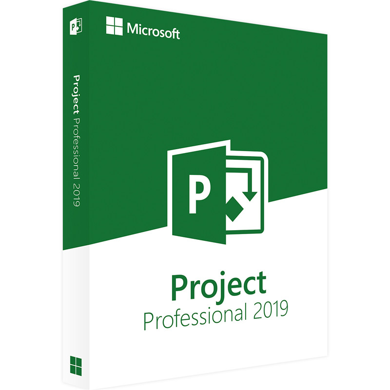 microsoft project professional review