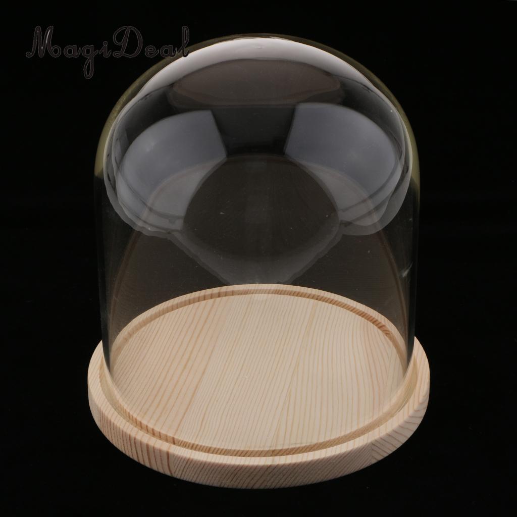 Decoration Glass Dome Display Bell Jar Cloche Wooden Base  Light Dust Cover DIY