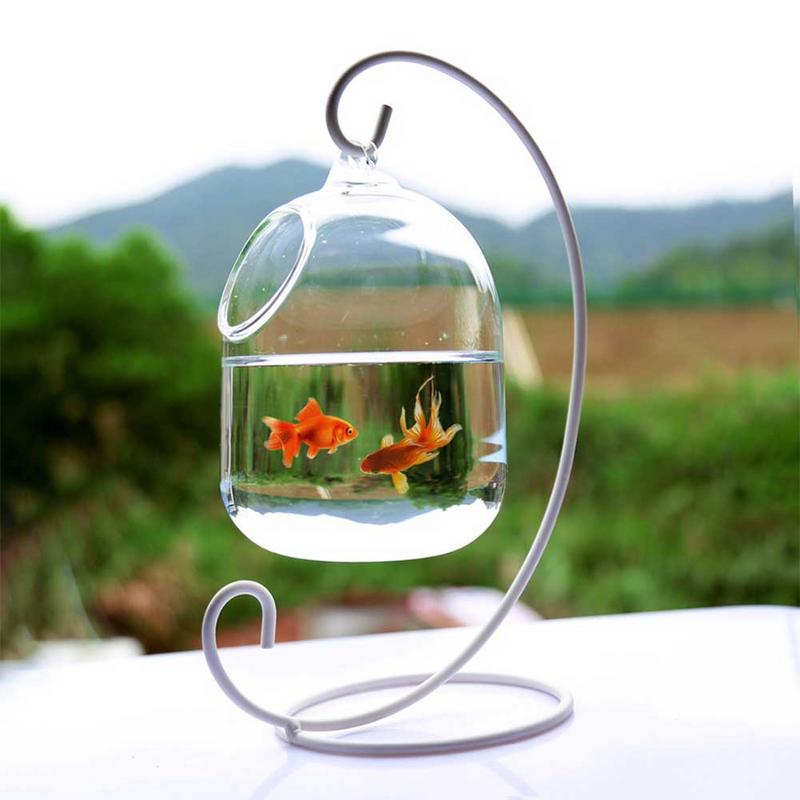 Hanging Aquarium Bowl Wall Mounted Goldfish Bowl Cool Fish Tank