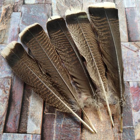 Wholesale 10PCS/lot Pretty Rare Natural Wild Turkey Tail Feathers 10-12inches/25-30cm clothing/headwear/holiday decoration ► Photo 1/1