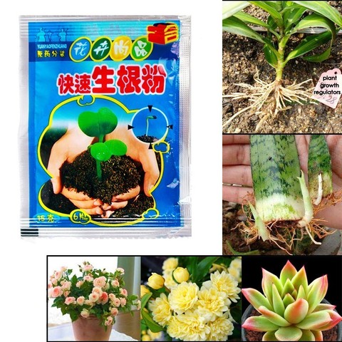 Bonsai Plant rapid growth root medicinal hormone regulators growing seedling recovery germination vigor aid fertilizer Garden ► Photo 1/6