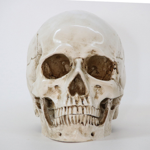 Statues Sculptures Resin Halloween Home Decor Decorative Craft Skull Size 1:1 Model Life Replica Medical High Quality ► Photo 1/6