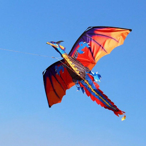 3D Dragon 100M Kite Single Line With Tail Kites Outdoor Fun Toy Kite Family Outdoor Sports Toy Children Kids NEW ► Photo 1/6