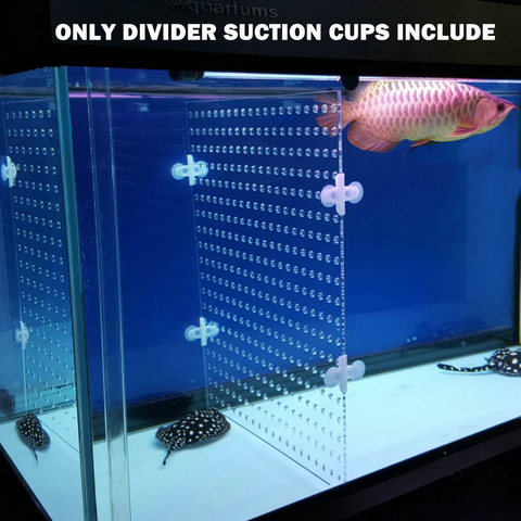 Aquarium Acrylic Divider Full Holes With 4pcs Suction Cup Free For Betta Fish Guppies Tank Black Blue Clear ► Photo 1/6