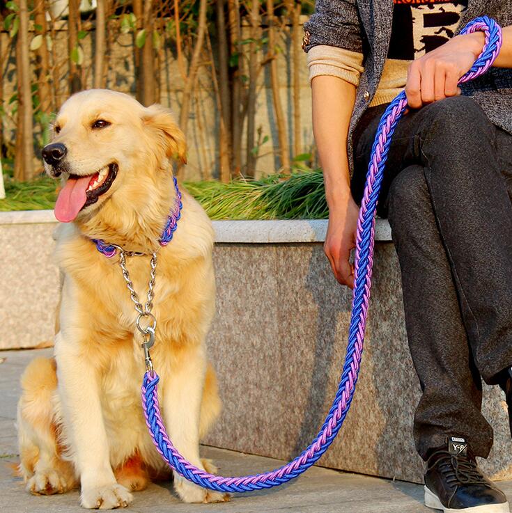 Chain Leash For Dogs Double Strand Rope Large Dog Leashes Metal P