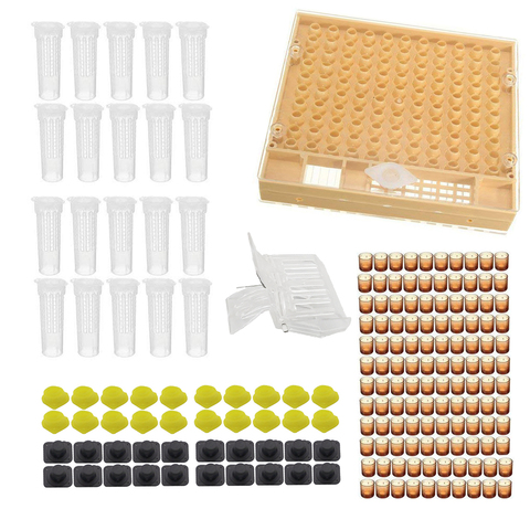 Complete queen rearing system kit king cultivating box plastic bee bees cells Cell cups cupkit cage beekeeping tools supplier ► Photo 1/6
