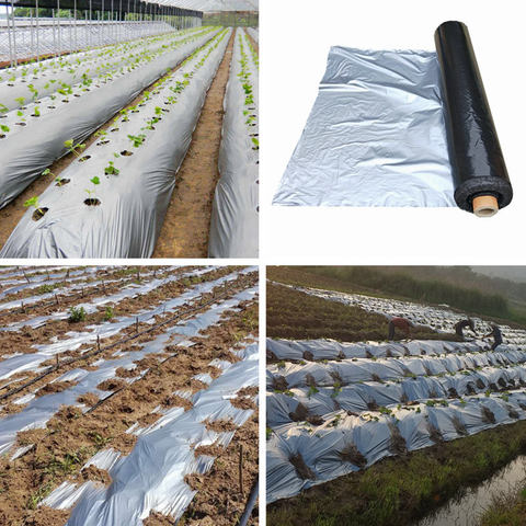 30m 0.012mm PE Mulch Film Silver Black Plastic Mulch Garden Ground Cover Film Frost Protection Keep Warm Weed Control ► Photo 1/6