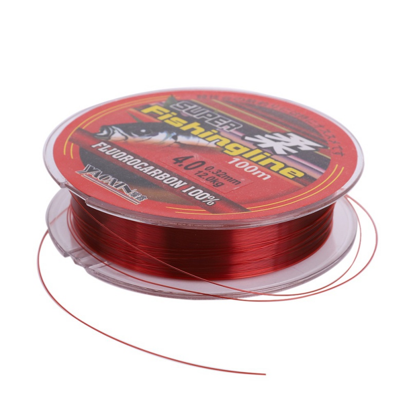 100M Nylon Fishing Line Transparent Super Strong Monofilament Durable Tackle New 