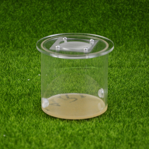 round ant farm food feeder,food feeding area for ant nest ,ant farm acryl or insect nests villa pet mania for house ants ► Photo 1/1