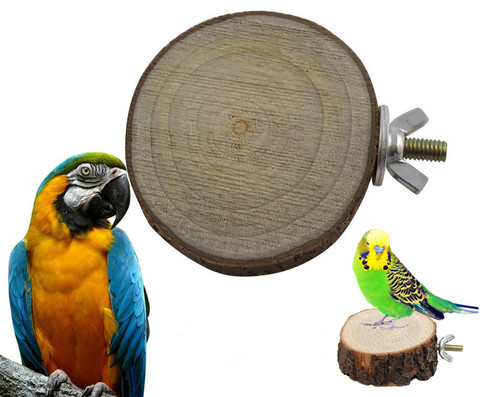 Round Wooden Squirrel Parrot Bird Perch Stand Platform Pet Bird Hanging Toy ► Photo 1/6