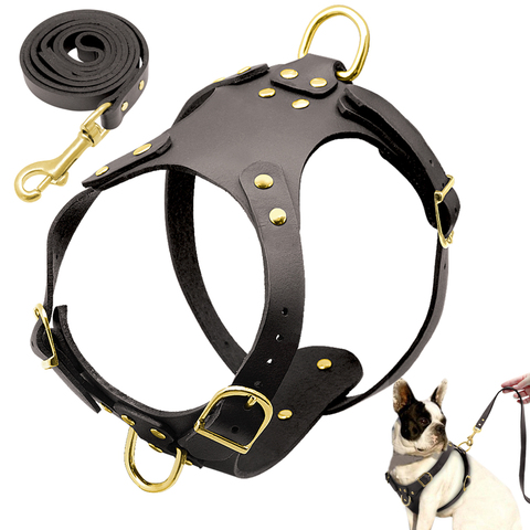 Pit Bull Dog Harness Leash Set No Pull Genuine Leather Dogs Harnesses Step in Pet Harness Vest Lead for Small Medium Dog Pitbull ► Photo 1/6