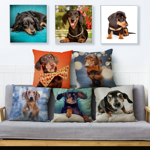 History Review On Miniature Dachshund Dogs Print Cushion Cover 45 Square Pillow Covers Beige Linen Throw Pillows Cases Home Decor Pillowcase Aliexpress Er Goodluck Zzw Alitools Io - Miniature Dachshund Home Decor
