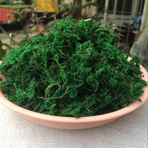 Natural 20/50Gram Bag Dry Green Moss Decorative Plants Vase Artificial Turf Silk Flower Accessories For Flowerpot Decoration ► Photo 1/1