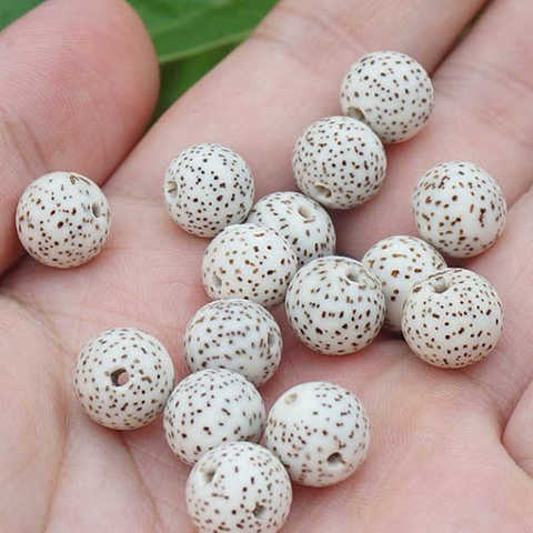 TSB0537 Natural Original White Star Moon Lotus Bodhi Seeds Round 10 Beads 8-9mm ► Photo 1/3