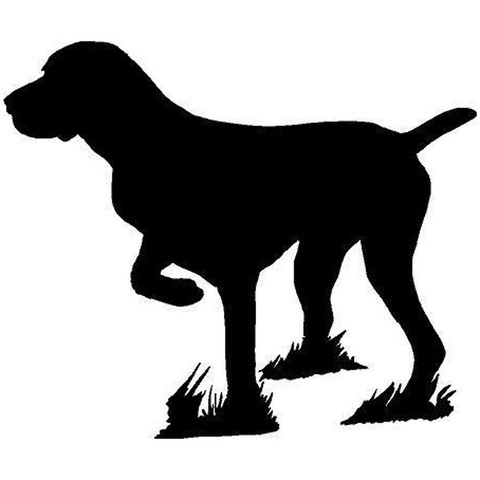 15.2*12.7CM Pointer Dog Hunt German Short Hair Animal Car Sticker