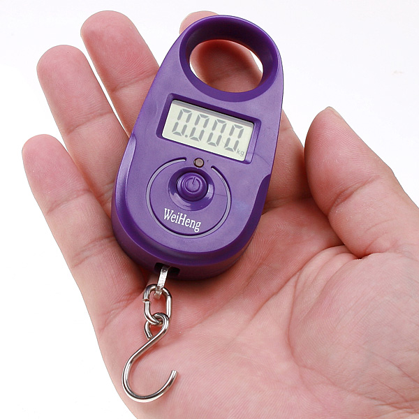 Electronic Hanging Scale Digital LCD Handheld Hooks Luggage Weight Tool 25KG 