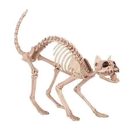 Skeleton Cat 100% Plastic Animal Skeleton Bones for Scary Halloween  Decoration - Price history & Review | AliExpress Seller - Giftower Party  Store 