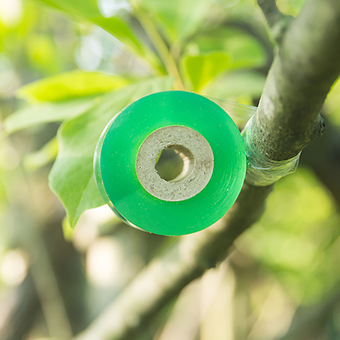 2cm 2.5cm 3cm width Grafting Tape Self-adhesive Agricultural Fruit Tree Belt Plastic Transparent Stretch Film Grafting Bandage ► Photo 1/6