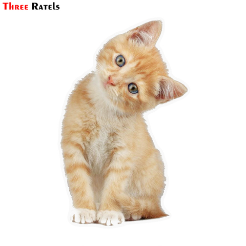 Three Ratels TZ-1825# 10.6x17cm tabby cat orange kitten colorful car sticker funny car stickers styling removable decal ► Photo 1/6