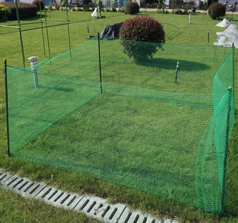 Poultry animal plastic woven fence netting for chicken ► Photo 1/3