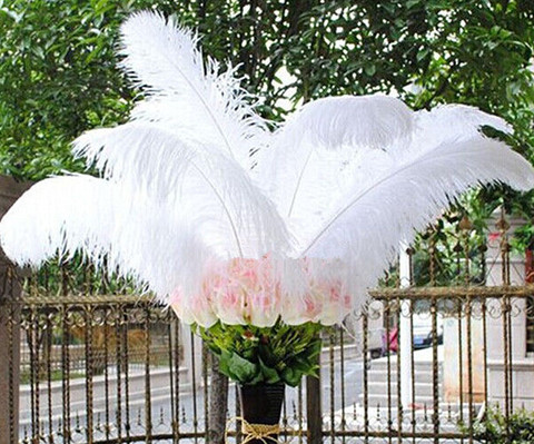 wholesale 50pcs High quality natural white selection ostrich feathers 6-24inch/15-60cm diy Decoration stage performance ► Photo 1/6