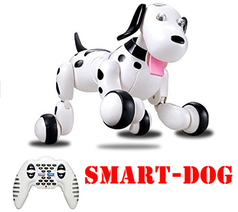 EBOYU 777-338 2.4G Wireless RC Dog Remote Control Smart Dog Electronic Pet Educational Children's Toy Dancing RC Robot Dog ► Photo 1/6