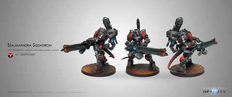 28312 Nomads Szalamandra Squadron ► Photo 1/1