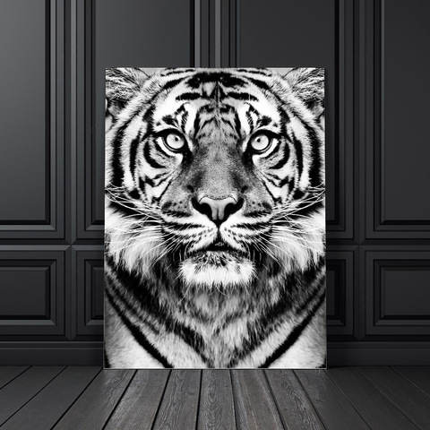 Price History Review On Wall Art Canvas Painting Black White Tiger Photo Nordic Posters And Prints Club Decoration Wall Pictures For Living Room Salon Aliexpress Seller Colorful Boy Official Price History Review On Wall Art Canvas Painting Black White Tiger Photo Nordic Posters And Prints Club Decoration Wall Pictures For Living Room Salon Aliexpress Seller Colorful Boy Official