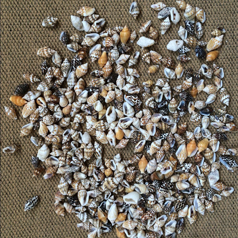 50pcs/Lot 0.9-1.3 cm Small Miscellaneous Conch Home toysDecoration Material Natural Craft Seashell Aquarium Fish Tank Landscape ► Photo 1/6