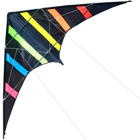 NEW Arrive 48 Inch Professional Dual Line Stunt Kite With Handle And Line Good Flying Factory Outlet ► Photo 1/6