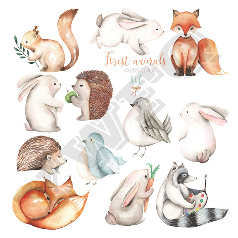 12pcs/Set Cute Little Fox Ironing Sticker Small Squirrel Animal Patches Washable Heat Transfers Diy Clothes Jeans Appliques ► Photo 1/6